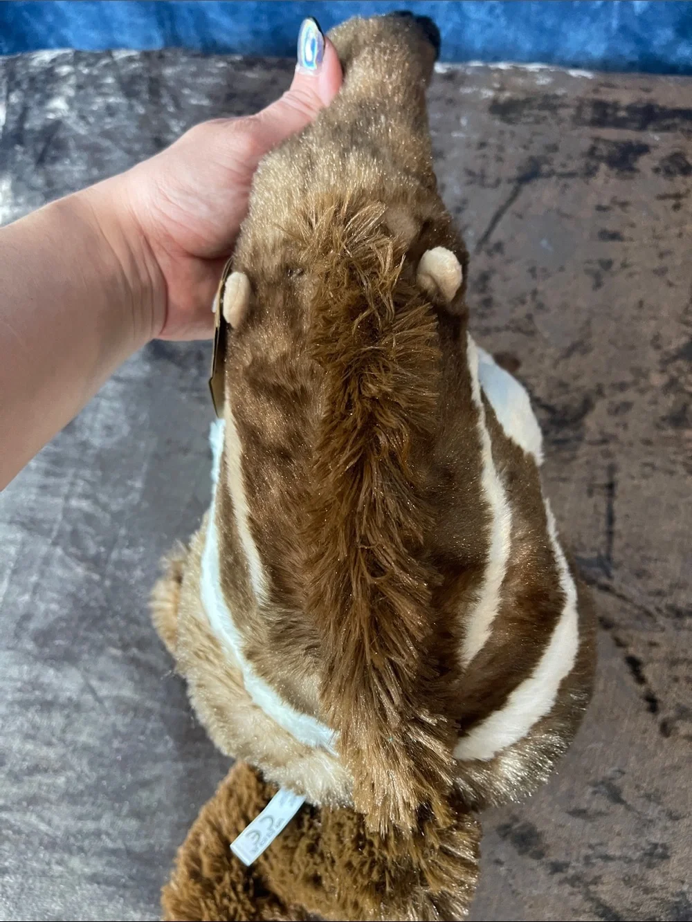 The petting zoo Plush Anteater
